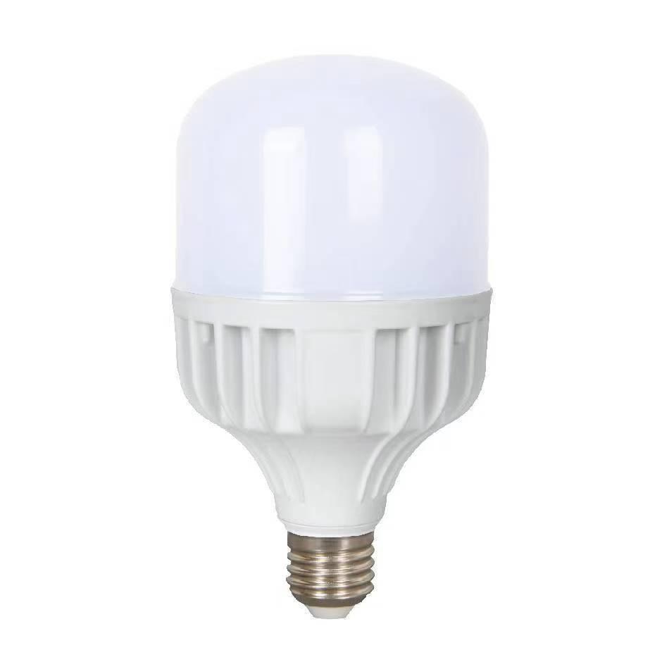 30W Bulb LED Lamp